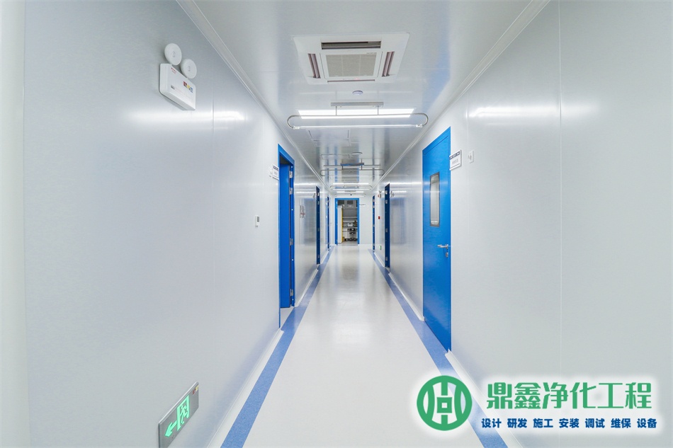 无菌净化工程实验室_无菌净化车间_无菌室净化工程