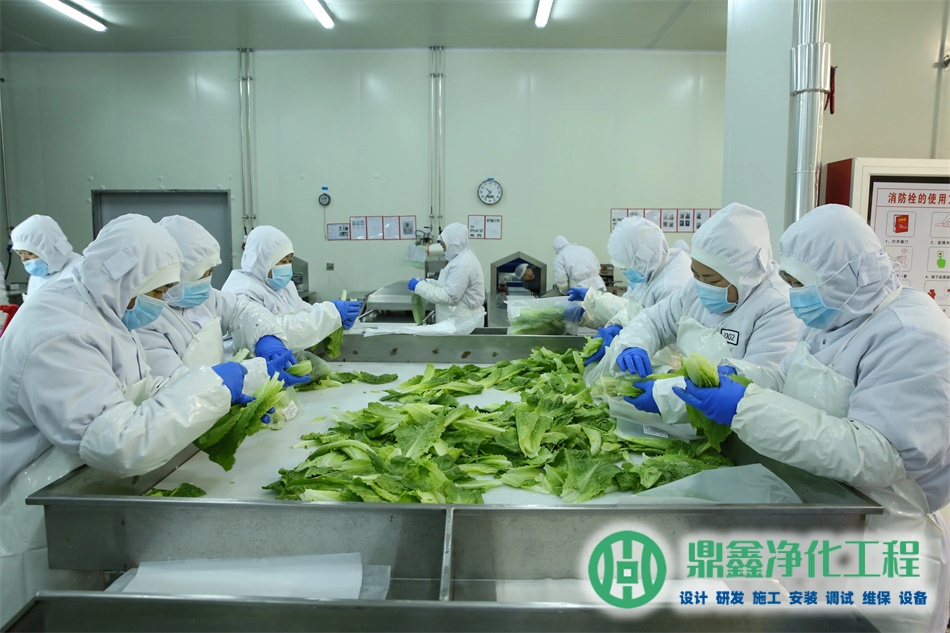 c级洁净区无菌要求_C级洁净区标准指标_C级洁净区无菌要求