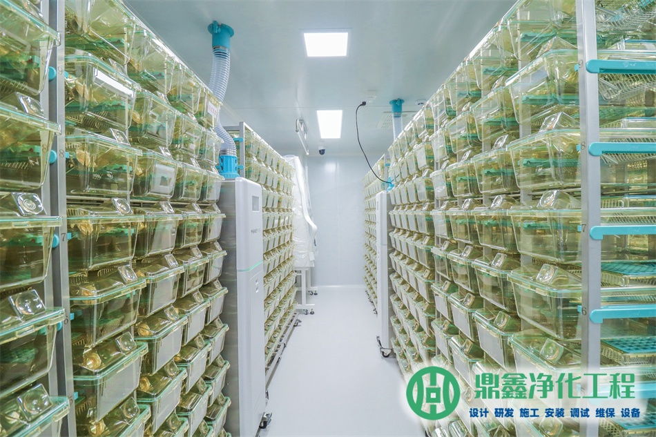 电子净化车间厂家选择标准_电子净化车间厂家电话_电子净化车间施工关键环节