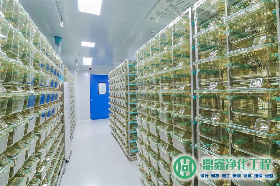 动物检测试剂GMP车间布局_动物检测试剂gmp车间装修公司_洁净度等级选择