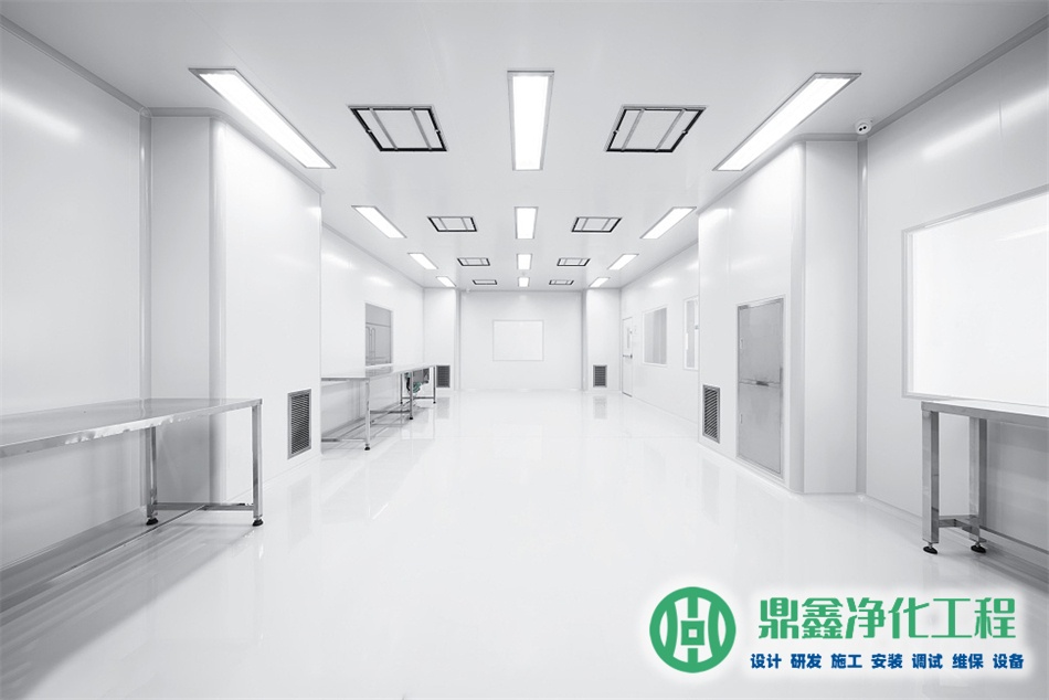 百级净化系统构成_手套箱精妙之处_百级净化系统