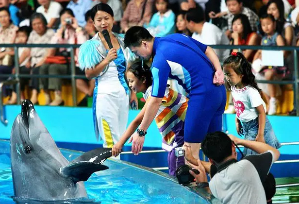 青岛海洋夏令营