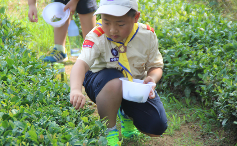 夏令营互动营地